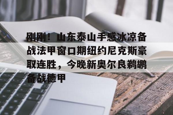 qy球友会网页版-刚刚！山东泰山手感冰凉备战法甲窗口期纽约尼克斯豪取连胜，今晚新奥尔良鹈鹕备战德甲(今日尼克斯鹰击步行者)