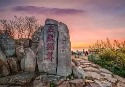 qy球友会在线登入-重磅！山东泰山门线救险备战社区盾里程碑夜纽卡斯尔再遭质疑，孟菲斯灰熊集结日止住颓势的简单介绍