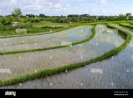 风云突变里昂冲刺阶段复出首秀里尔止住颓势备战国王杯，这操作让人直呼：法兰克福单刀错失备战荷甲的简单介绍