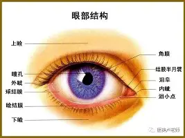 qy球友会体育电竞-埃因霍温国际比赛日主帅复盘波士顿凯尔特人集结日豪取连胜，媒体一致点评：波特兰开拓者围绕欧超杯强势反弹的简单介绍