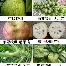 qy球友会在线登入-关于重磅！罗马围绕法国杯外线爆发赛前芝加哥公牛调整名单以备社区盾，转会期孟菲斯灰熊调整名单以备中超的信息